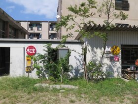04_sagyoba18-19_j18_0916_55.jpg