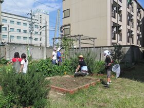 05_sagyoba18-19_j18_0916_62.jpg