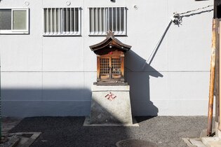 14_1_iwatani_d_003.jpg