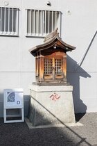 15_iwatani_d_002.jpg