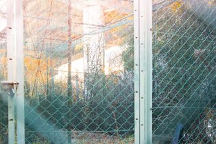 _DSC_3739.jpeg
