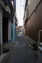 03_1_umeda_Osai_2014_ujin_0113b.jpg