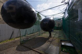 07_umeda_Osai_2014_ujin_0280b.jpg