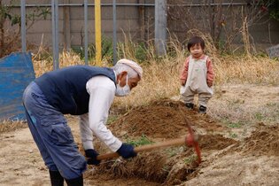 24_o23_0325_2121_saji.jpg