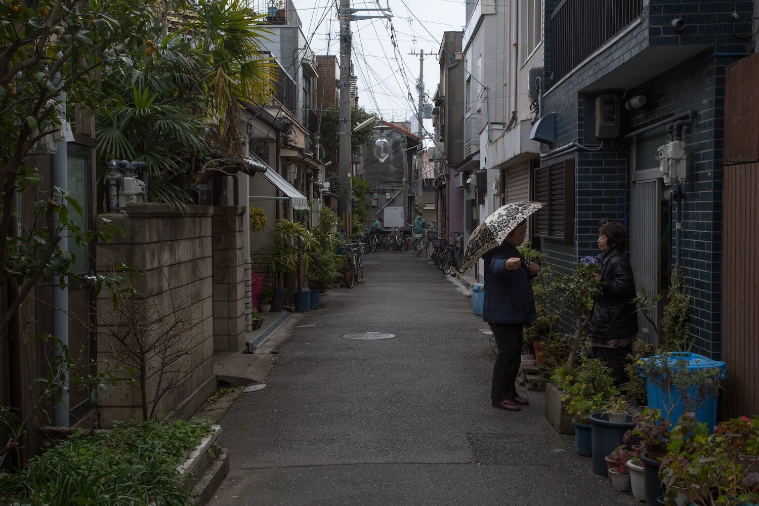 04_umeda_Osai_2014_ujin_095c.jpg